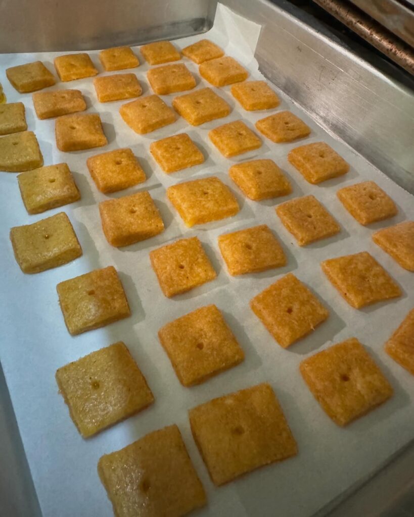 This image is of a shiny silver pan, lined with white parchemnt paper. On the parchment is the crackers, slightly baked and a little puffier than the raw dough. These cheese crackers made with fresh milled flour are half way baked.